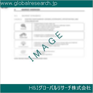 グローバルリサーチ調査資料のイメージ